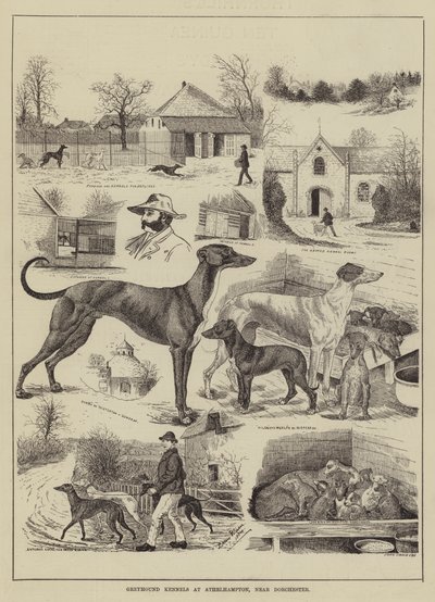 ドーチェスター近くのアセルハンプトンにあるグレイハウンド犬舎 作： Louis Wain